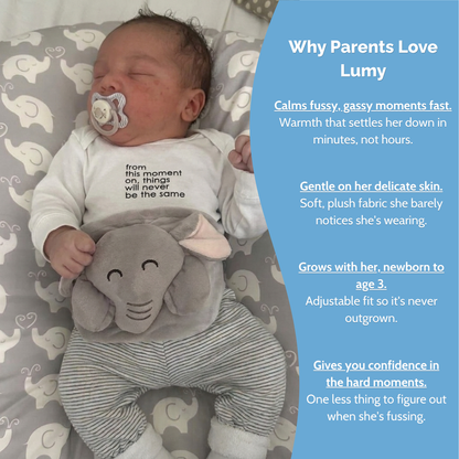 Lumy Dino Talking Flash Cards & Phonics Toy