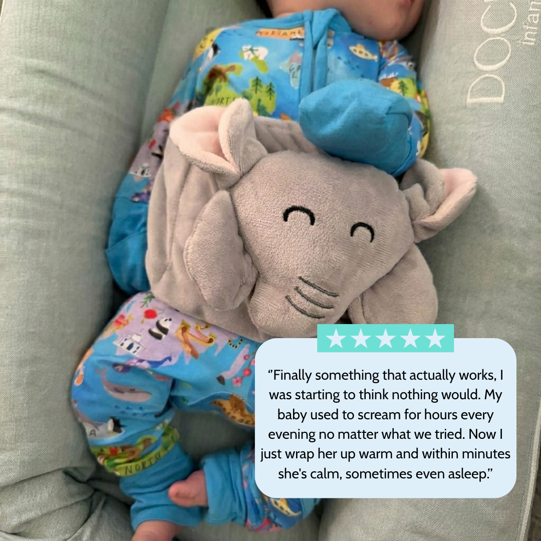 Lumy Dino Talking Flash Cards & Phonics Toy