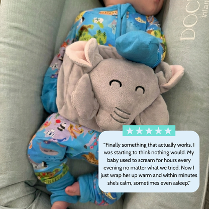 Lumy Dino Talking Flash Cards & Phonics Toy