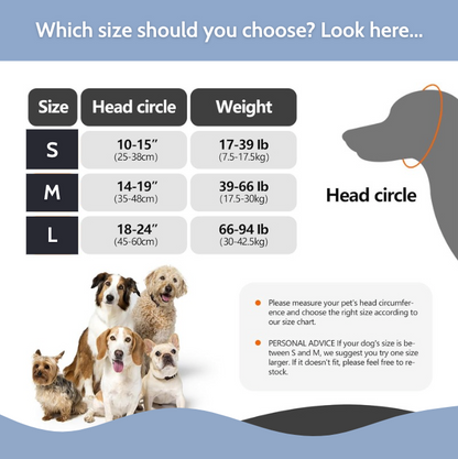 Lumy : The Original Calming Band For Anxious Dogs