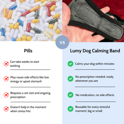 Lumy : The Original Calming Band For Anxious Dogs
