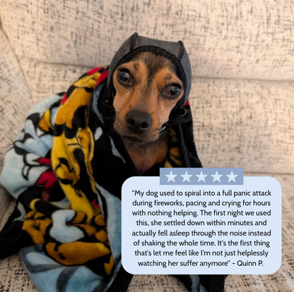 Lumy : The Original Calming Band For Anxious Dogs