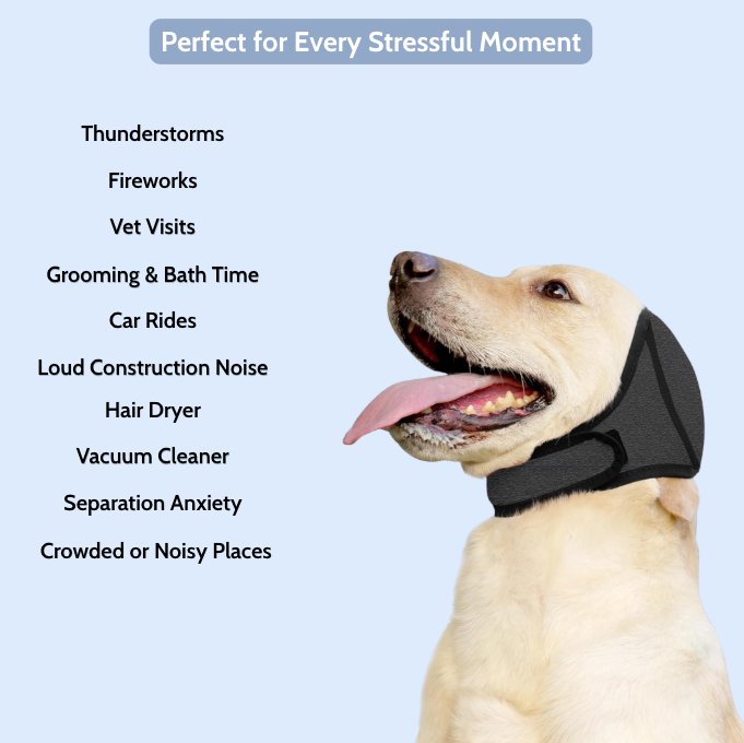 Lumy : The Original Calming Band For Anxious Dogs