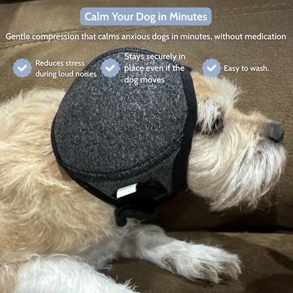 Lumy : The Original Calming Band For Anxious Dogs