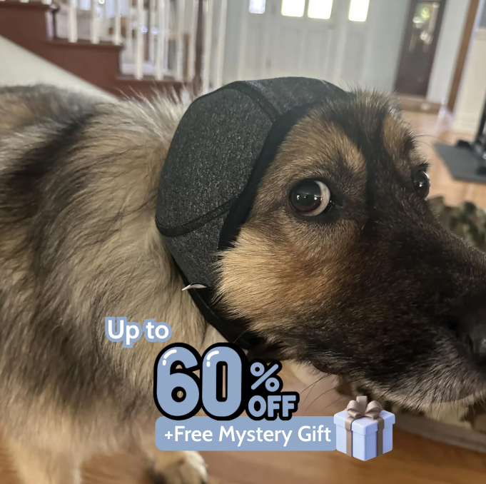 Lumy : The Original Calming Band For Anxious Dogs